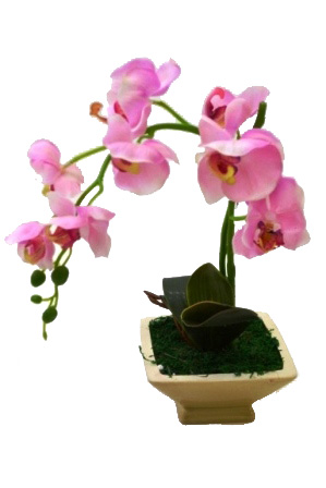 Композиция "Орхидея" JH014030 (розовая) Р-48 в горшке керам. (с эффектом натур. лепестков) 1/24шт.