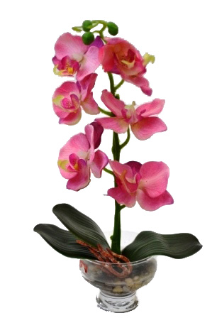 Композиция "Орхидея" JH014019 (розовая) Р-37 в горшке стекло  1/72шт.