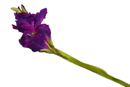 Цветок "Ирис" (102 см) (фиолетовый) (32942)         1/100шт.