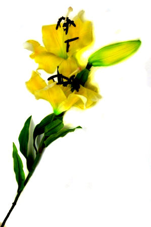 Цветок "Лилия" 9115-5 (желтая) Р-5 (с эф. натур. лепестков) (38053)  1/96шт.