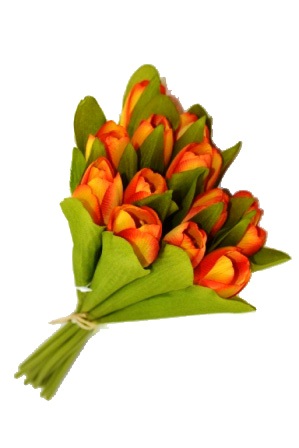 Цветы "Букет тюльпанов" (12шт.) 9115-3 Р-3.2          1/150шт.