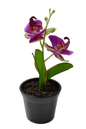 Композиция "Орхидея" (фиолетовая) Р-24 в горшке (33450)          1/72шт.