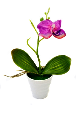 Композиция "Орхидея" JH014016 (фиолетовая) Р-49 в горшке керам.  1/216шт.