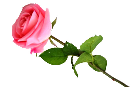 Цветок "Роза" 9115-16 (розовая) Р-16                  1/240шт.
