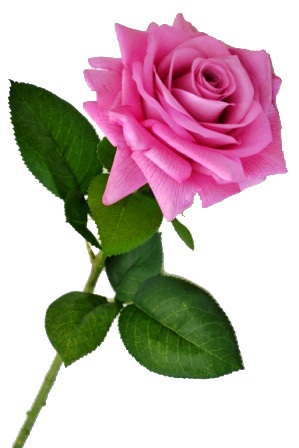 Цветок "Роза" 9115-14 (розовая) Р-14 (с эффектом натур. лепестков)                 1/240шт.